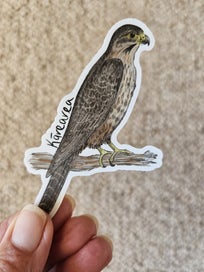 Listing 6 of 11 for Aotearoa native bird die-cut vinyl - 5 stickers