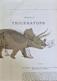 Listing 3 of 4 for 2 x Dinosaur Canvas Prints ~ UNFRAMED 40 x 70cm