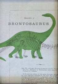 Listing 4 of 4 for 2 x Dinosaur Canvas Prints ~ UNFRAMED 40 x 70cm