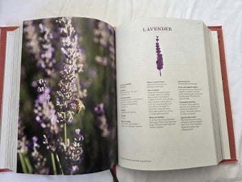 Listing 5 of 6 for KITCHEN GARDEN COMPANION - Stephanie Alexander - 771 pages