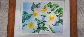 Listing 2 of 5 for Painting/Print - Watercolour "Plumeria" / Frangipani