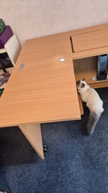 Listing 5 of 5 for Sewing table- extendable