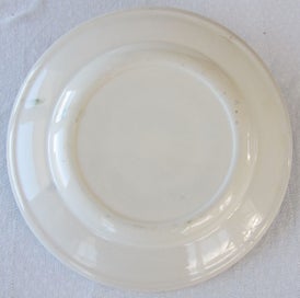 Listing 9 of 9 for Rare Crown Lynn Promotional Plate.