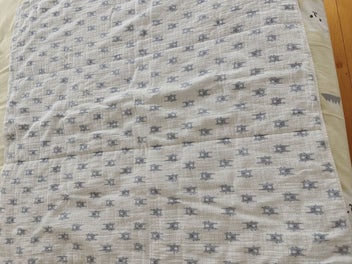 Listing 2 of 6 for Aden & Anais dream blanket
