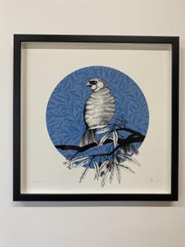 Listing 1 of 4 for Modern Framed print of Kokako