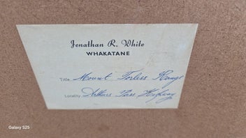 Listing 4 of 4 for Jonathan R White (193-2021) ''Mount Torlesse Range Arthurs Pass Highway'' Oil