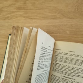 Listing 10 of 17 for Hooker's Handbook of the New Zealand Flora 1864/1867 – Reeve & Co London