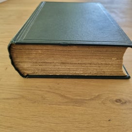 Listing 16 of 17 for Hooker's Handbook of the New Zealand Flora 1864/1867 – Reeve & Co London