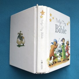Listing 1 of 9 for LION BABY'S TINY BIBLE RETOLD BY SARAH TOULMIN ILLUSTR KRISTINA STEPHENSON HB