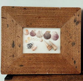 Listing 4 of 4 for A PAIR of VERY OLD DISTRESSED TIMBER FRAMES - EACH FRAMING REAL SEA-SHELLS