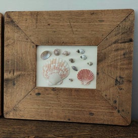 Listing 3 of 4 for A PAIR of VERY OLD DISTRESSED TIMBER FRAMES - EACH FRAMING REAL SEA-SHELLS