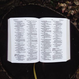 Listing 2 of 2 for Niv, Larger Print Compact Bible, Leathersoft, Brown, Red Letter, Comfort Print