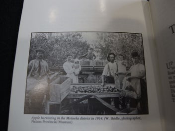 Listing 7 of 7 for A Short History Of Nelson Province J N Newport