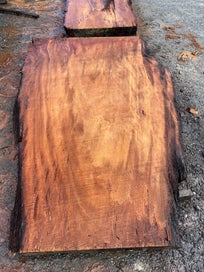 Listing 5 of 8 for AK250092-Ancient Swamp Kauri Slab 275x170/110x12cm