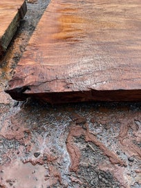 Listing 4 of 8 for AK250092-Ancient Swamp Kauri Slab 275x170/110x12cm