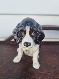 Listing 1 of 4 for SYLVAC COCKER SPANIEL