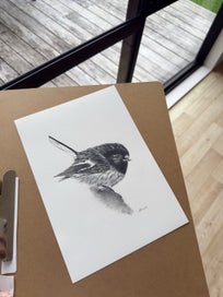 Listing 2 of 3 for Tom Tit Original Graphite Drawing A4