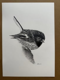 Listing 3 of 3 for Tom Tit Original Graphite Drawing A4