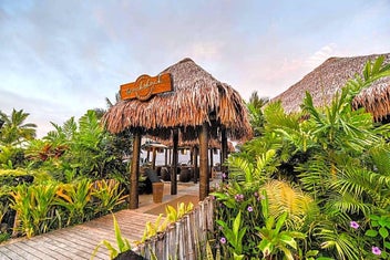 Listing 14 of 18 for Wyndham Denarau Island Fiji