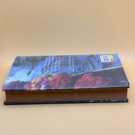 Listing 4 of 6 for India in Slow Motion by Mark Tully