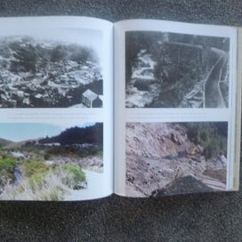 Listing 4 of 8 for THE ILLUSTRATED DENNISTON ROSE & HEART OF COAL by Jenny Pattrick SIGNED