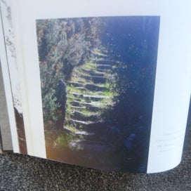 Listing 6 of 8 for THE ILLUSTRATED DENNISTON ROSE & HEART OF COAL by Jenny Pattrick SIGNED