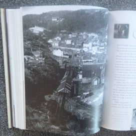 Listing 8 of 8 for THE ILLUSTRATED DENNISTON ROSE & HEART OF COAL by Jenny Pattrick SIGNED