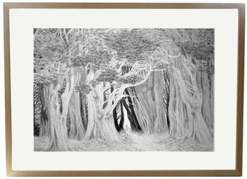 Listing 2 of 3 for Pathways 3 & 4. Pencil. 73x54cm. Framed