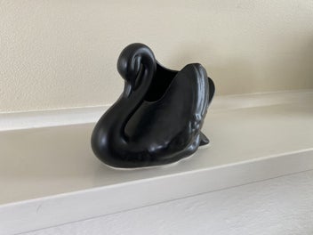 Listing 4 of 6 for Black swan