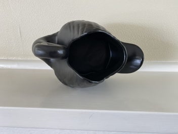 Listing 5 of 6 for Black swan