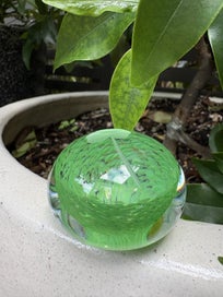 Listing 1 of 5 for GREEN SHAMROCK GLASS PAPER WEIGHT