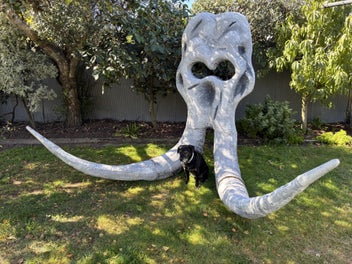 Listing 4 of 4 for Lion King Elephant Skull