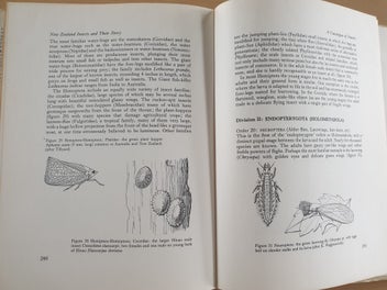 Listing 5 of 18 for 2 collectable informative books. NZ Insects. NZ Native Animals. 1971, 1954