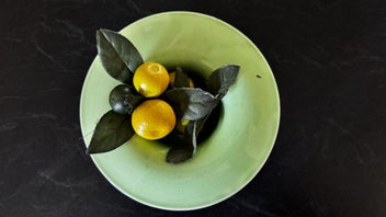 Listing 12 of 20 for Crown Ducal Green china collection art deco made in England