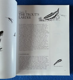 Listing 3 of 9 for Trout Stream Insects Of New Zealand - How To Imitate And Use Them - Norman Marsh