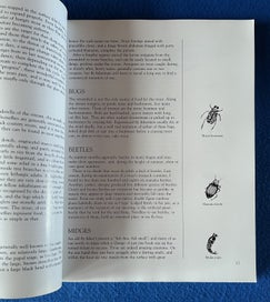 Listing 4 of 9 for Trout Stream Insects Of New Zealand - How To Imitate And Use Them - Norman Marsh