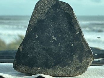 Listing 2 of 8 for The known Meteorite and classified CM black beauty.