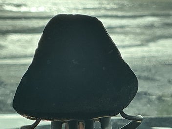 Listing 4 of 8 for The known Meteorite and classified CM black beauty.