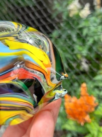 Listing 7 of 12 for NZ. Schroders Studio Art Glass. Signed Paperweight by Nigel Schroder.