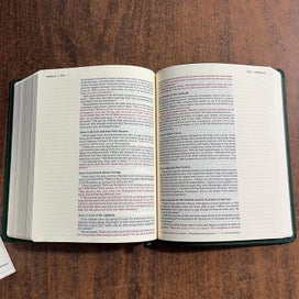 Listing 4 of 5 for NIV, Journal the Word Bible (Perfect for Note-Taking), Leathersoft, Green