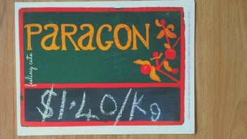 Listing 6 of 6 for Orchard Fruit Posters