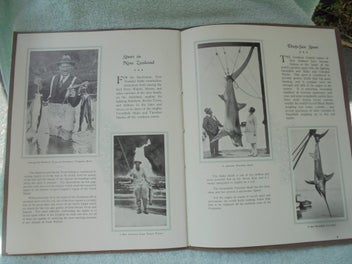 Listing 13 of 16 for 1933-'NEW ZEALAND- Scenic Playground of the Pacific'- NZGTB- 1st.- 32pp
