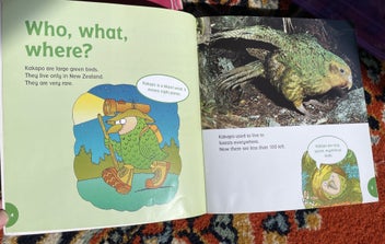Listing 2 of 2 for Kids book - Kakapo