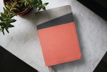 Listing 2 of 8 for NIV Application Bible, Leathersoft, Coral/Gray, Red Letter, Comfort Print: