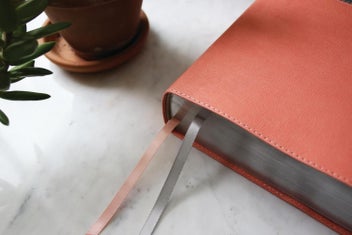 Listing 3 of 8 for NIV Application Bible, Leathersoft, Coral/Gray, Red Letter, Comfort Print: