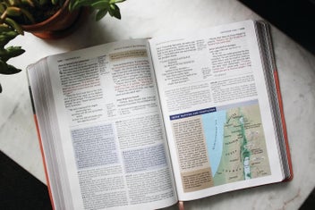 Listing 4 of 8 for NIV Application Bible, Leathersoft, Coral/Gray, Red Letter, Comfort Print:
