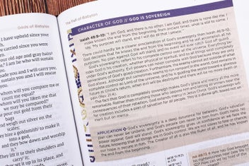 Listing 5 of 8 for NIV Application Bible, Leathersoft, Coral/Gray, Red Letter, Comfort Print: