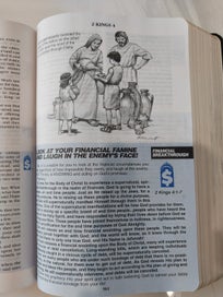 Listing 4 of 7 for Spiritual Warfare Bible
