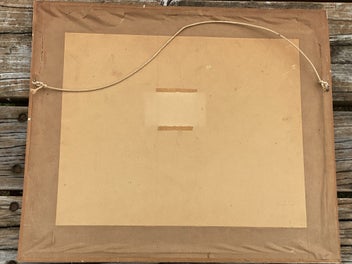 Listing 8 of 8 for Original Whites Aviation Photograph - Mount Cook