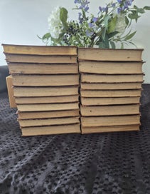 Listing 6 of 12 for The Ultimate Charles Dickens Library: A 19 Volume Collins Collection. 1900s